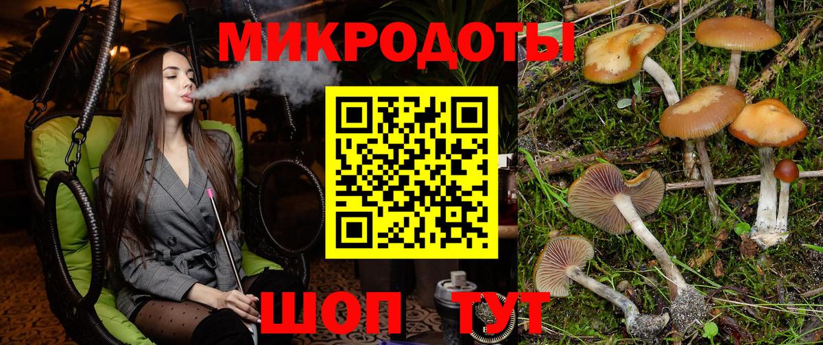 Галлюциногенные грибы мухоморы Крымск
